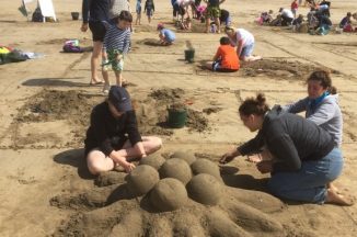 Sun, Sand & Coastal Creatures